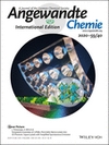 Damage and Repair in Informational Poly(N‐substituted urethane)s