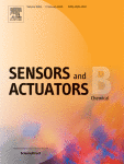 Beyond Common Analytical Limits of Radicals Detection Using the Functional SERS